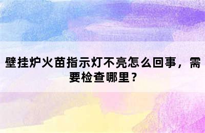 壁挂炉火苗指示灯不亮怎么回事，需要检查哪里？