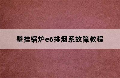 壁挂锅炉e6排烟系故障教程