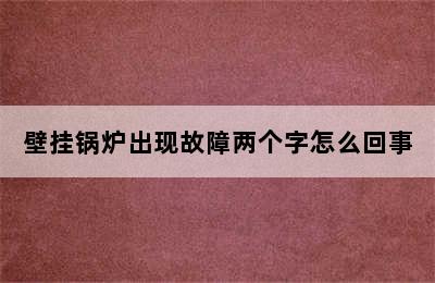 壁挂锅炉出现故障两个字怎么回事