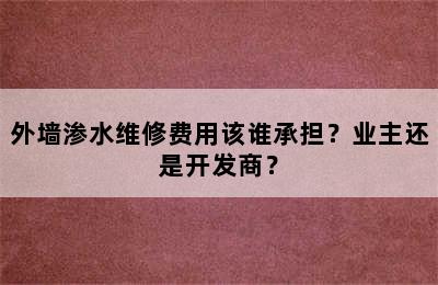 外墙渗水维修费用该谁承担？业主还是开发商？