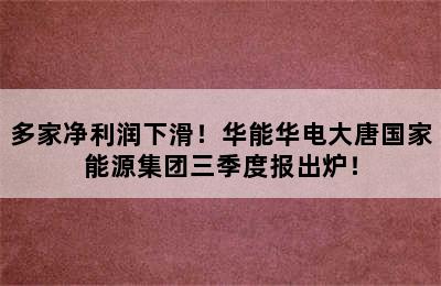 多家净利润下滑！华能华电大唐国家能源集团三季度报出炉！