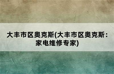 大丰市区奥克斯(大丰市区奥克斯：家电维修专家)