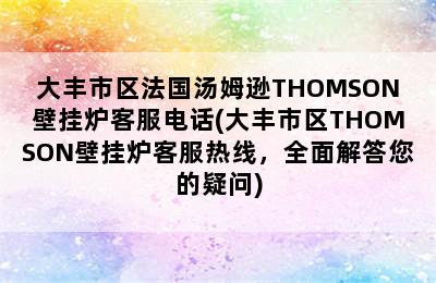 大丰市区法国汤姆逊THOMSON壁挂炉客服电话(大丰市区THOMSON壁挂炉客服热线，全面解答您的疑问)