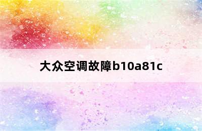 大众空调故障b10a81c