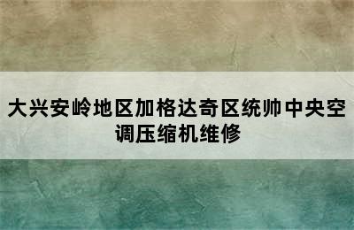 大兴安岭地区加格达奇区统帅中央空调压缩机维修