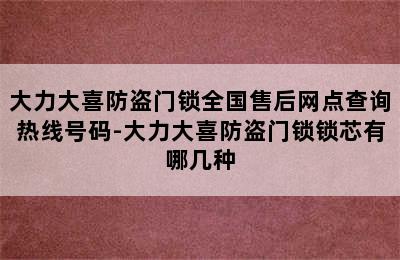 大力大喜防盗门锁全国售后网点查询热线号码-大力大喜防盗门锁锁芯有哪几种