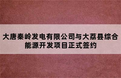 大唐秦岭发电有限公司与大荔县综合能源开发项目正式签约