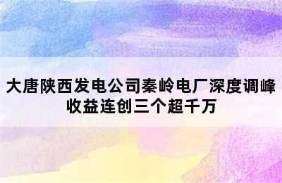 大唐陕西发电公司秦岭电厂深度调峰收益连创三个超千万