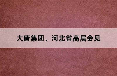 大唐集团、河北省高层会见