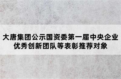 大唐集团公示国资委第一届中央企业优秀创新团队等表彰推荐对象