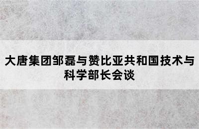 大唐集团邹磊与赞比亚共和国技术与科学部长会谈