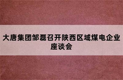 大唐集团邹磊召开陕西区域煤电企业座谈会