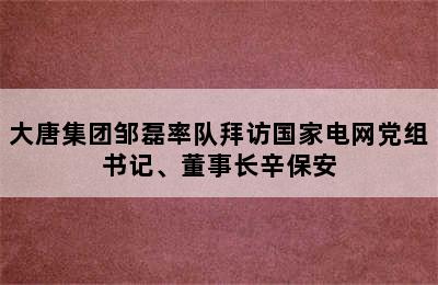 大唐集团邹磊率队拜访国家电网党组书记、董事长辛保安