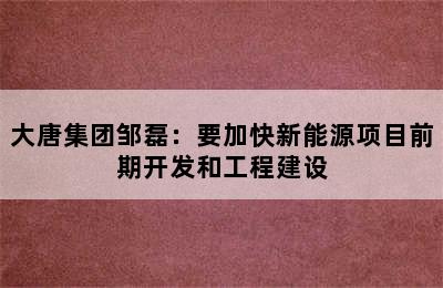 大唐集团邹磊：要加快新能源项目前期开发和工程建设