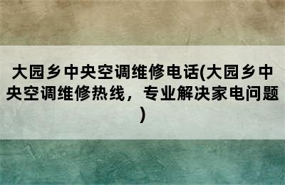 大园乡中央空调维修电话(大园乡中央空调维修热线，专业解决家电问题)