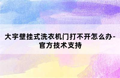 大宇壁挂式洗衣机门打不开怎么办-官方技术支持