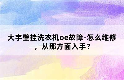 大宇壁挂洗衣机oe故障-怎么维修，从那方面入手？