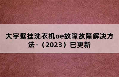 大宇壁挂洗衣机oe故障故障解决方法-（2023）已更新