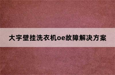 大宇壁挂洗衣机oe故障解决方案