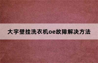 大宇壁挂洗衣机oe故障解决方法