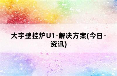 大宇壁挂炉U1-解决方案(今日-资讯)