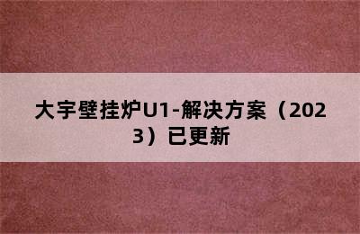 大宇壁挂炉U1-解决方案（2023）已更新