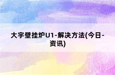 大宇壁挂炉U1-解决方法(今日-资讯)