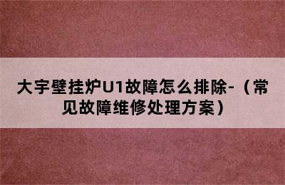 大宇壁挂炉U1故障怎么排除-（常见故障维修处理方案）