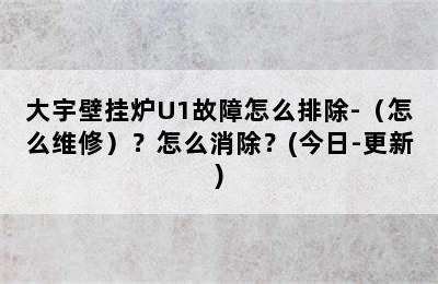 大宇壁挂炉U1故障怎么排除-（怎么维修）？怎么消除？(今日-更新)