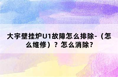 大宇壁挂炉U1故障怎么排除-（怎么维修）？怎么消除？