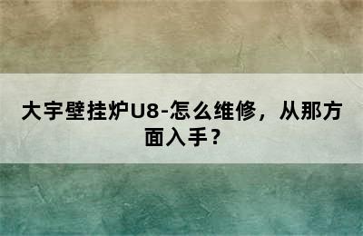 大宇壁挂炉U8-怎么维修，从那方面入手？