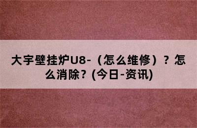 大宇壁挂炉U8-（怎么维修）？怎么消除？(今日-资讯)