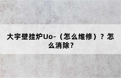 大宇壁挂炉Uo-（怎么维修）？怎么消除？