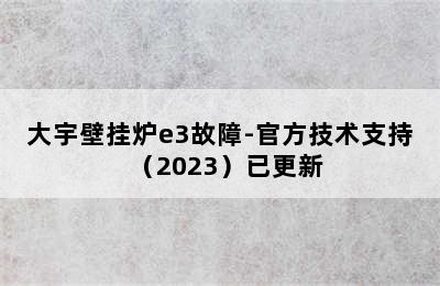 大宇壁挂炉e3故障-官方技术支持（2023）已更新