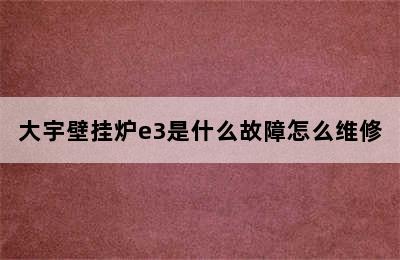 大宇壁挂炉e3是什么故障怎么维修