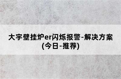 大宇壁挂炉er闪烁报警-解决方案(今日-推荐)