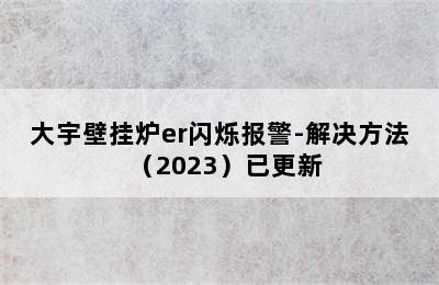 大宇壁挂炉er闪烁报警-解决方法（2023）已更新