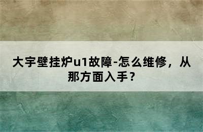 大宇壁挂炉u1故障-怎么维修，从那方面入手？