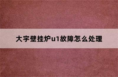 大宇壁挂炉u1故障怎么处理