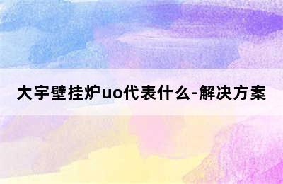 大宇壁挂炉uo代表什么-解决方案