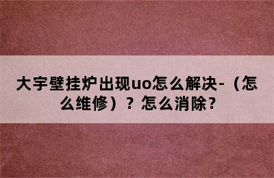 大宇壁挂炉出现uo怎么解决-（怎么维修）？怎么消除？