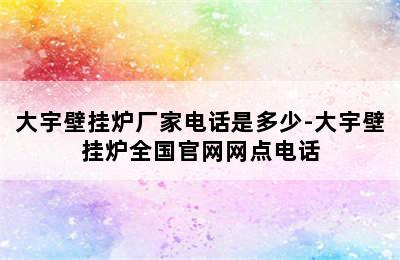 大宇壁挂炉厂家电话是多少-大宇壁挂炉全国官网网点电话