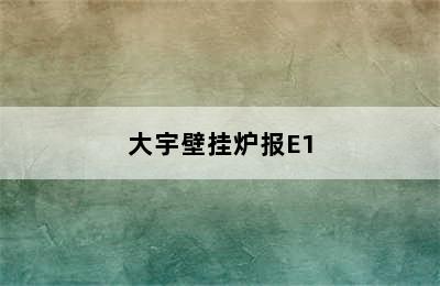 大宇壁挂炉报E1