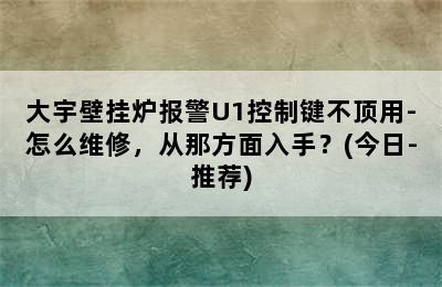 大宇壁挂炉报警U1控制键不顶用-怎么维修，从那方面入手？(今日-推荐)