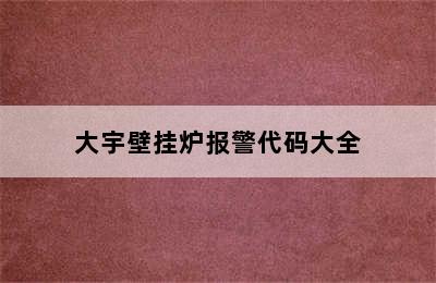 大宇壁挂炉报警代码大全