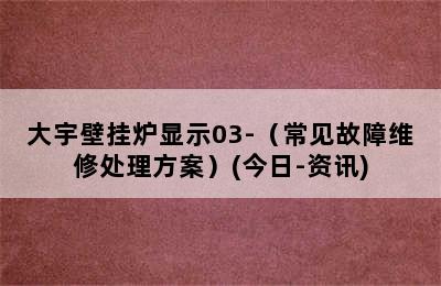 大宇壁挂炉显示03-（常见故障维修处理方案）(今日-资讯)