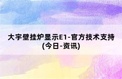 大宇壁挂炉显示E1-官方技术支持(今日-资讯)