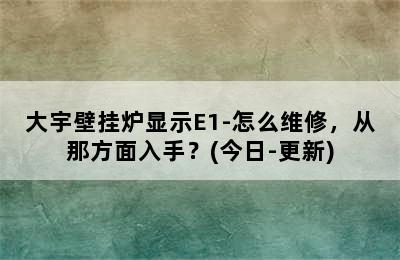 大宇壁挂炉显示E1-怎么维修，从那方面入手？(今日-更新)