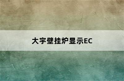 大宇壁挂炉显示EC