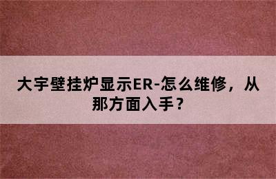 大宇壁挂炉显示ER-怎么维修，从那方面入手？